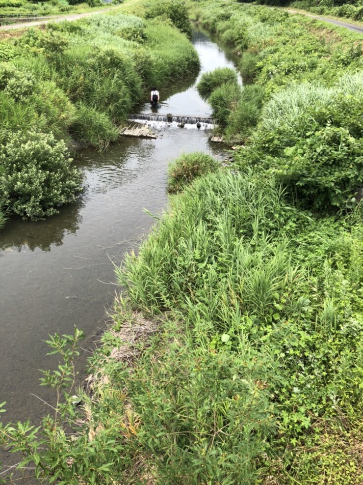 滋賀県の川でガサガサ遊び(2021年8月)