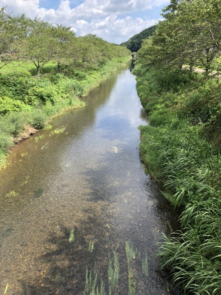 岐阜県の川でガサガサ遊び(2021年7月)