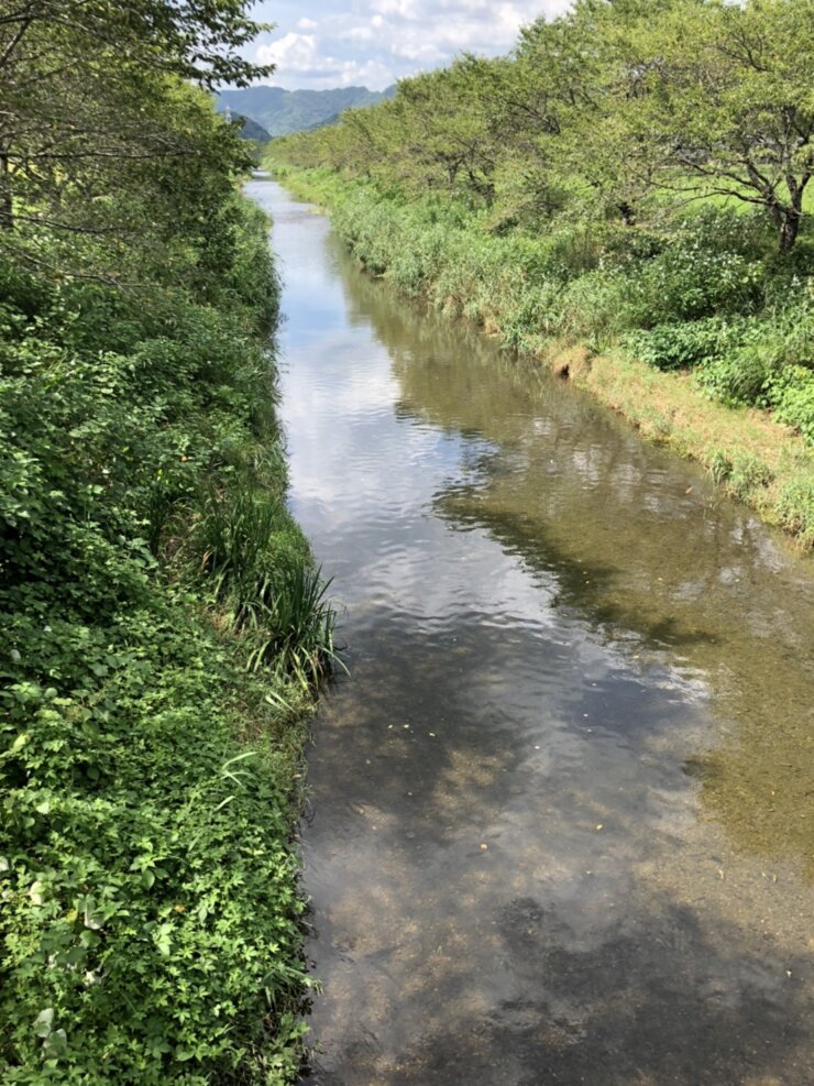 岐阜県の川でガサガサ遊び(2021年7月)