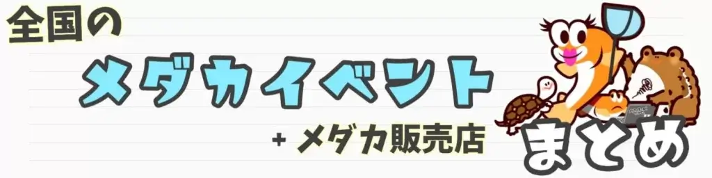 メダカイベントブログのバナー