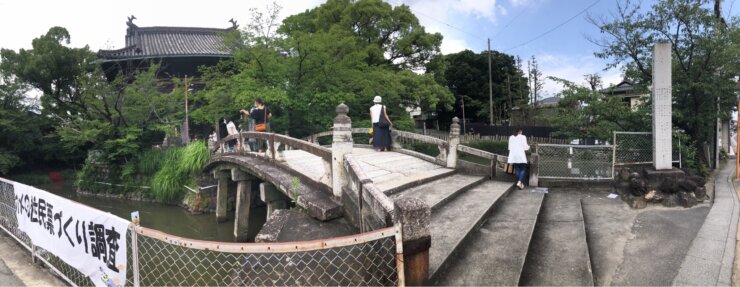 カメの生態調査観察(愛知県名古屋市南区笠寺観音にて)