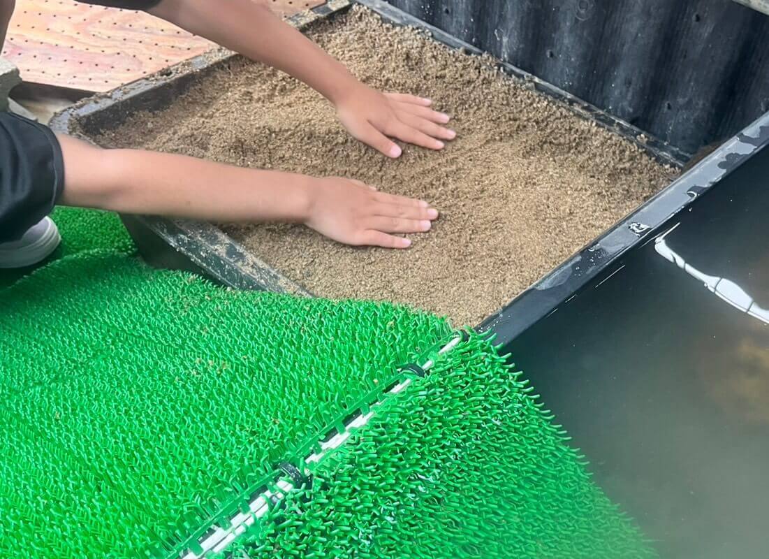 イシガメが産卵する場所つくり(飼育容器と砂場)亀の産卵床づくり