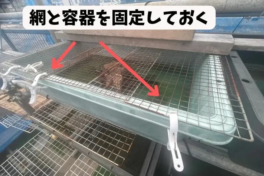 害獣や鳥に食べられないようにするための対策方法